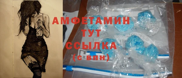 стаф Гусев