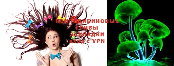 марки lsd Гусиноозёрск