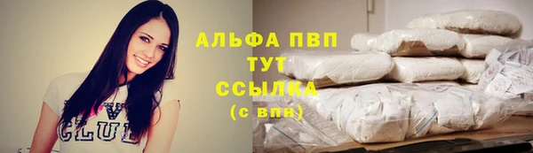 трава Гусь-Хрустальный