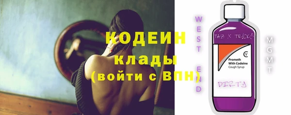 стаф Гусев