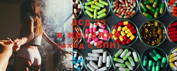 стаф Гусев
