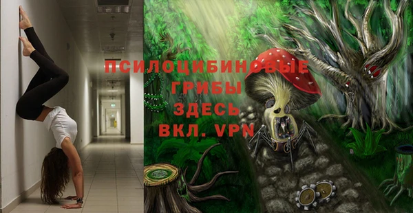 марки lsd Гусиноозёрск
