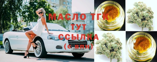 стаф Гусев