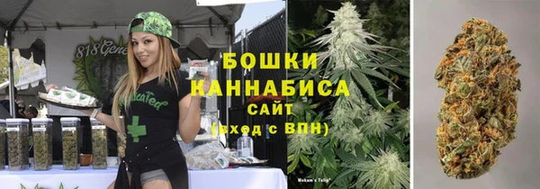 стаф Гусев