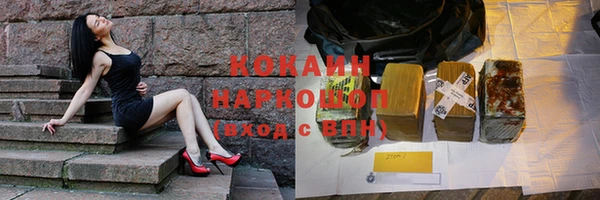 стаф Гусев