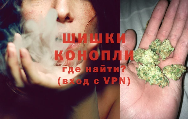 стаф Гусев