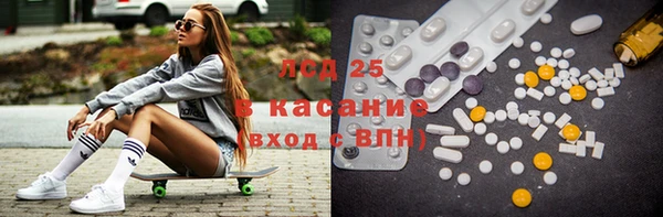 стаф Гусев