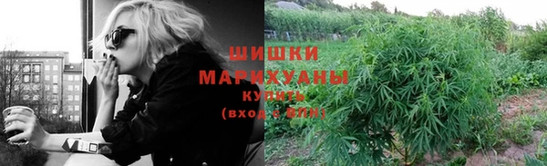 марки lsd Гусиноозёрск